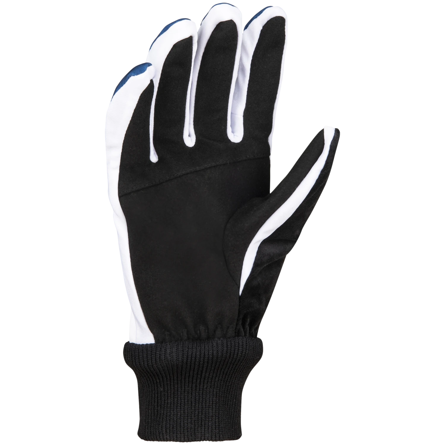 Daehlie Glove Move 4 Daehlie Glove Move – Image 2