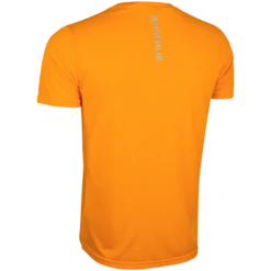 Daehlie T-Shirt Primary For Men -Daehlie 5972 333694 38500 product 2 c2a878eb 3fcb 4077 a936 8f466097c402 original