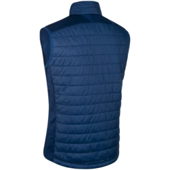 Daehlie Vest Graphlite For Men