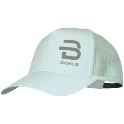 Daehlie Caps Recovery