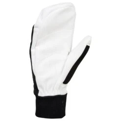 Gant Nordique Bjorn Daehlie Mitten Race Warm Black -Daehlie d156bf5be755b8e8b503f296d6e0b1329e6e6001 H22BJORACC2217032 2